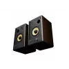 GENESIS ARSEN 402BT 2-pásmový bronzový káblový a bezdrôtový 60 W