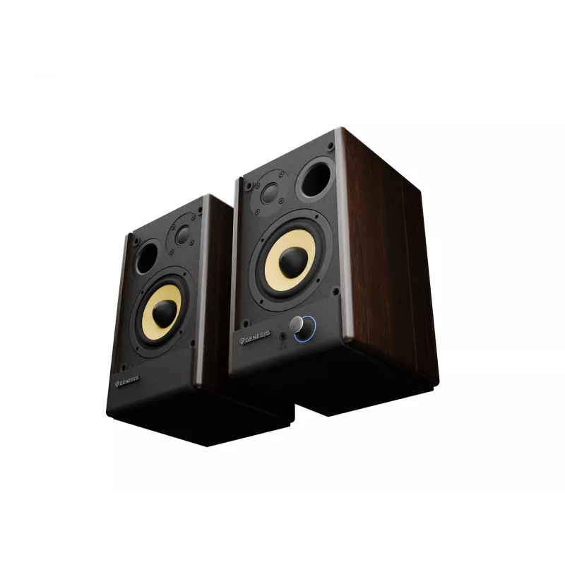 GENESIS ARSEN 402BT 2-pásmový bronzový káblový a bezdrôtový 60 W