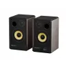GENESIS ARSEN 402BT 2-pásmový bronzový káblový a bezdrôtový 60 W