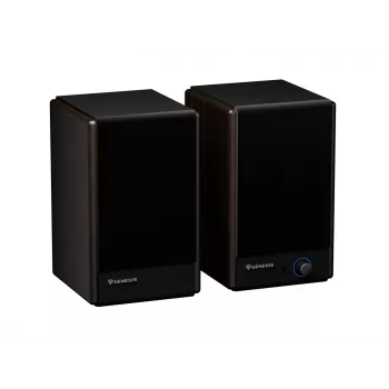 GENESIS ARSEN 402BT 2-pásmový bronzový káblový a bezdrôtový 60 W