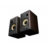 GENESIS ARSEN 502BT 2-pásmový Bronze Drôtový & Bezdrôtový 60 W
