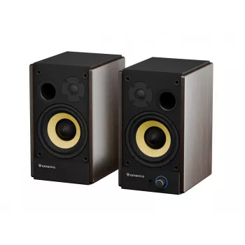 GENESIS ARSEN 502BT 2-pásmový Bronze Drôtový & Bezdrôtový 60 W
