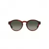 GIORGIO ARMANI dámske slnečné okuliare AR8146-596271 Havana acetát zelený gradient 50/15/145 mm