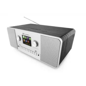 GoGen IR 257 BTDAB internetové digitálne rádio strieborné