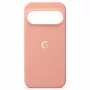 Google Pixel 11 Pro XL puzdro Canyon CGY4 5B05