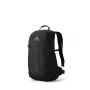 Gregory Arrio 20 turistický batoh - Shadow Pine Black
