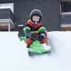 Hamax Sno Zebra Snow Racer zelená polyetylén