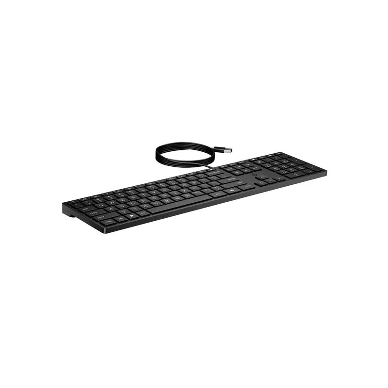 HP 320K drôtová klávesnica SmartBuy (EN) - čierna - QWERTY - USB