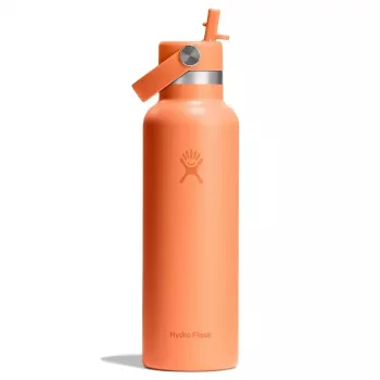 Hydro Flask 620 ml Standard Flex Straw Cap termofľaša Nectar