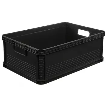 keeeper Robert 45L grafitová prepravná krabica, nosnosť 30kg, 60x40x22cm, stohovateľná euro nádoba s vekom
