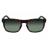 Lacoste L956S-230 pánske slnečné okuliare Havana hnedé obdĺžnikové acetát 55mm