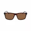 Lacoste pánske slnečné okuliare L6025S-219 havana zelená 56mm