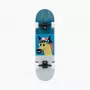 Landyachtz ATV Classic Fern skateboard