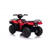 LEAN CARS elektrické quad pre deti JC915 červená 12V