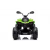 LEAN CARS elektrické quad CAN-AM Renegate zelené