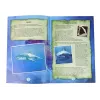 LEAN TOYS Ammonite Shark vykopávacia vzdelávacia sada