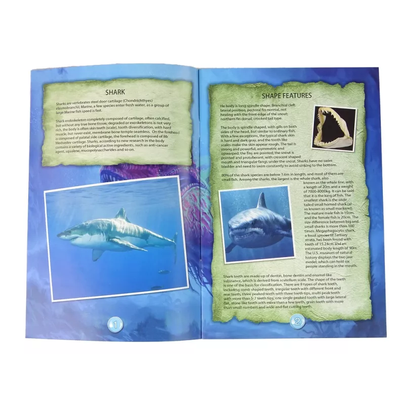 LEAN TOYS Ammonite Shark vykopávacia vzdelávacia sada