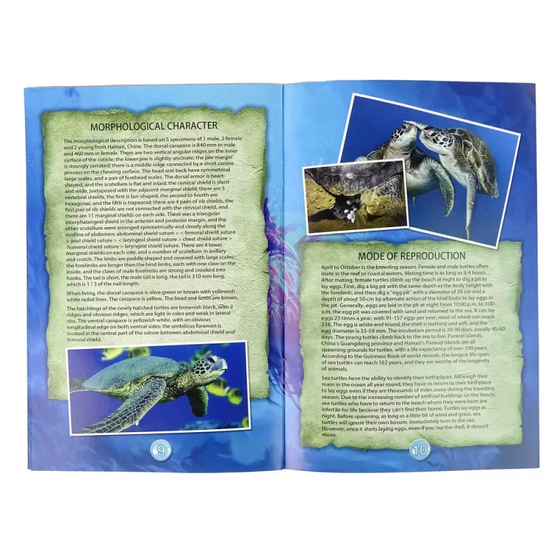 LEAN TOYS Ammonite Turtle vykopávacia vzdelávacia sada