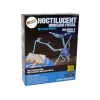 LEAN TOYS Archeologická sada na vykopávky, dinosauří kostra Pteranodon, 3D hologram