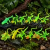 LEAN TOYS fluorescenčná zelená svietiaca jašterica gumená figúrka 15cm