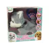 LEAN TOYS plyšový pes interaktívny vzdelávací vôdzka piesne prechádzky