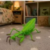 LEAN TOYS kudlanka gumená figúrka naťahovacia realistická zelená 18 cm