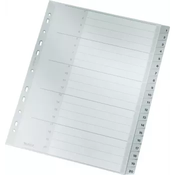 LEITZ 1284 A4 extra široké číslované registračné listy 1-20, sivé, 20-dielne, polypropylén, 0,12 mm, s popisovateľným krycím listom 1284-00