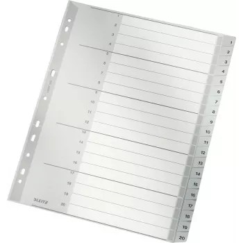 LEITZ 1284 A4 extra široké číslované registračné listy 1-20, sivé, 20-dielne, polypropylén, 0,12 mm, s popisovateľným krycím listom 1284-00