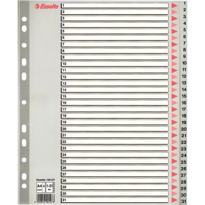 LEITZ A4 extra široké blanko plastové registre, 20-dielne, univerzálne dierovanie, priesvitne biely 1278-00-00