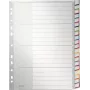 LEITZ A4 extra široké blanko plastové registre, 20-dielne, univerzálne dierovanie, priesvitne biely 1278-00-00
