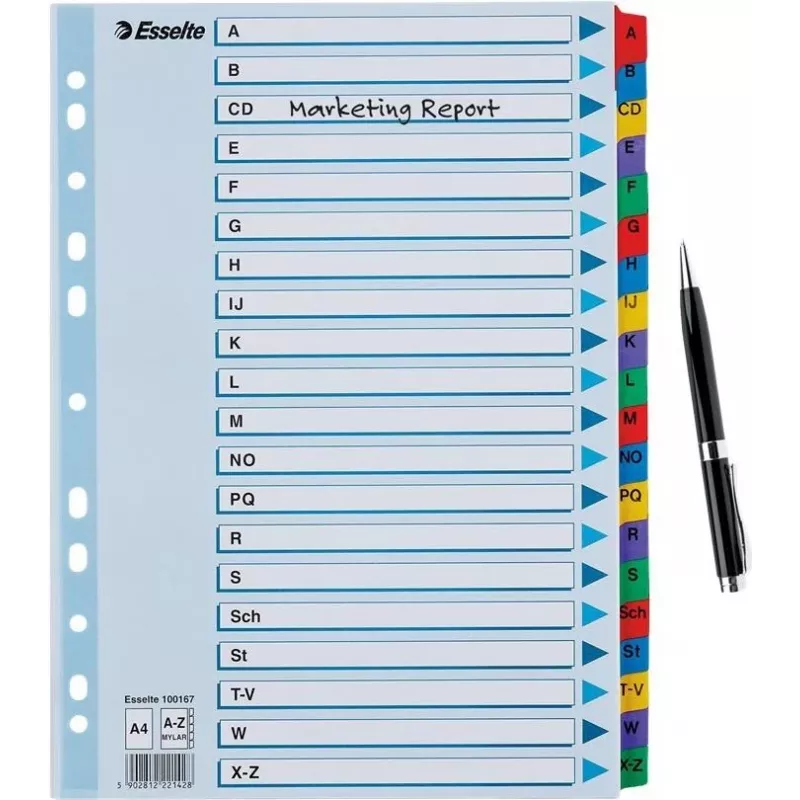 Esselte A4 Mylar Register A-Z, 20-dielny, viacfarebný (100167)