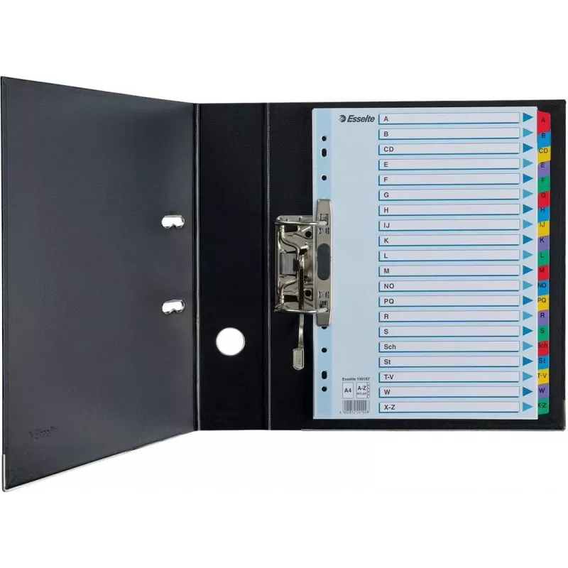 Esselte A4 Mylar Register A-Z, 20-dielny, viacfarebný (100167)