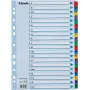 Esselte A4 Mylar Register A-Z, 20-dielny, viacfarebný (100167)