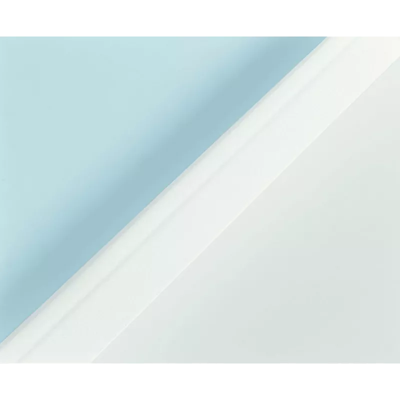 Leitz A4 termoväzbová obálka transparentná 40 listov 80 g/m² pre 177182, 17784 (177160)