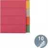 LEITZ Extra stabilný kartónový register, blanko záložky, A4, 10-dielny, viacfarebný, 230 g/m², 5-farebný prefarebený kartón (4359-00-00)