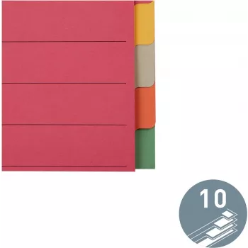 LEITZ Extra stabilný kartónový register, blanko záložky, A4, 10-dielny, viacfarebný, 230 g/m², 5-farebný prefarebený kartón (4359-00-00)