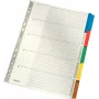 LEITZ Mylar kartónový register, blanko, A4, 5-dielny, sivé záložky, 160 g/m², s popisovateľným krycím listom 4320-00-00