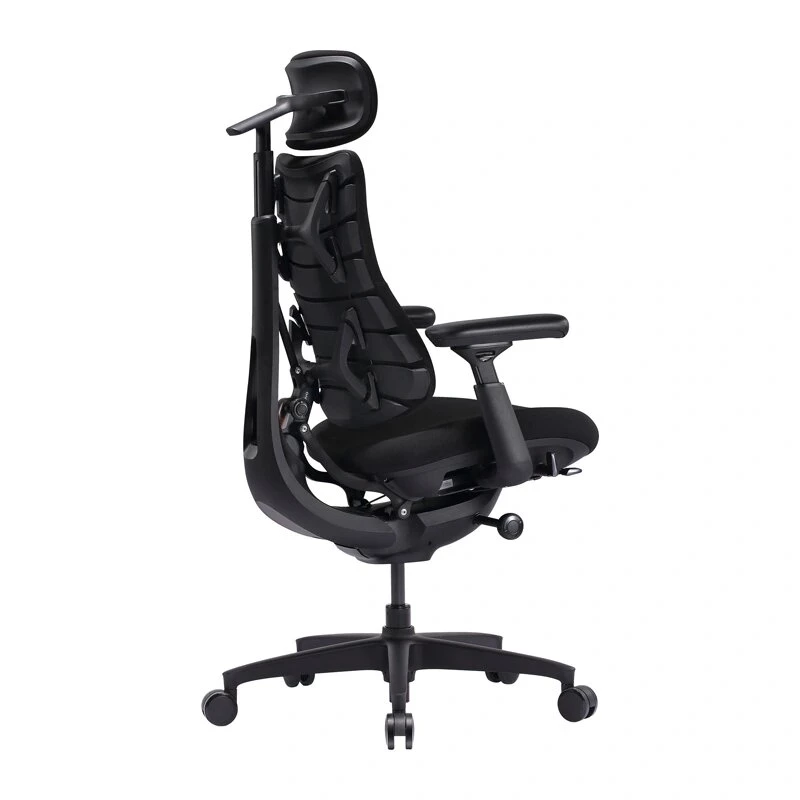 LiberNovo Omni SE 48 cm Ergonomická stolička (Čierna)