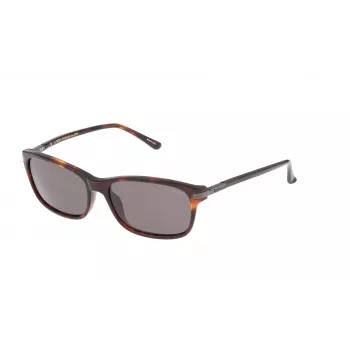 LOZZA SL4029M564APP unisex slnečné okuliare - 56/16/140 mm - UV400 ochrana