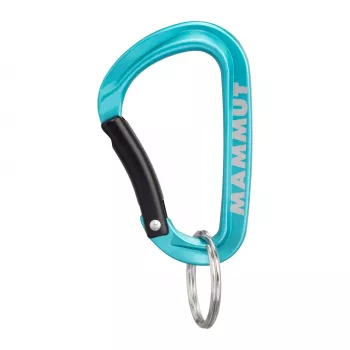Mammut Mini karabína Classic Keylock S - strieborná/sivá