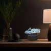 Manta SNL64RGB LED lampa svetelná dekorácia do auta 3D RGB