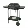 MASTER GRILL Master plynový gril 2-horákový MG672