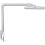 MAUL LED stolová lampa Intro stmievateľná so svorkovou základňou biela