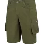 Pánske šortky Alpinus Hekla Green SI18154 L