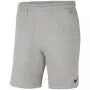 Nike Park 20 pánske šortky Dark Grey Heather XL