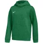 Nike Park 26 Fleece mikina s kapucňou detská zelená XS
