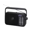 Panasonic RF-2400DEG-K prenosné analógové AM/FM rádio - čierne