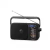 Panasonic RF-2400DEG-K prenosné analógové AM/FM rádio - čierne