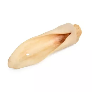PETMEX Chew Lamb Ear White pamlsky pre psov 10 ks