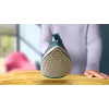 Philips DST2030/90 parná žehlička - 2000W, nepriľnavá žehliaca plocha, 270ml nádržka